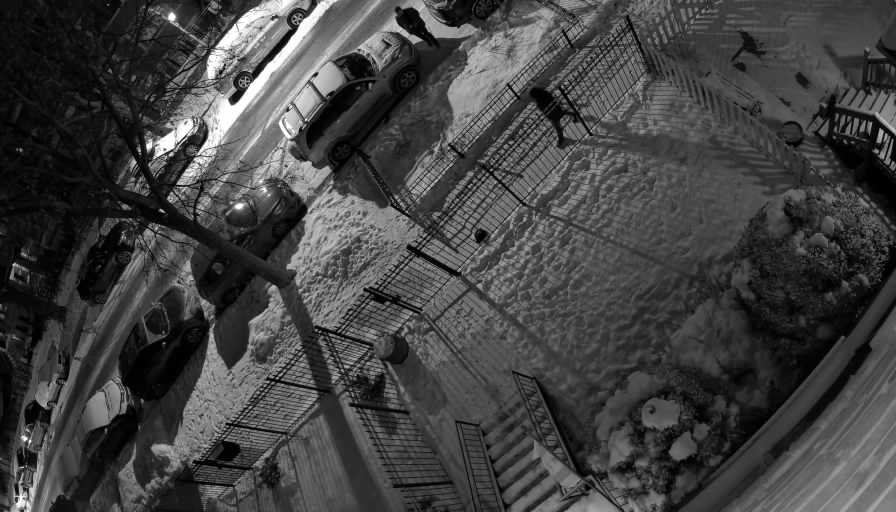 Reolink Camera Two_01_Reolink Home Hub One_20260131003714.jpg